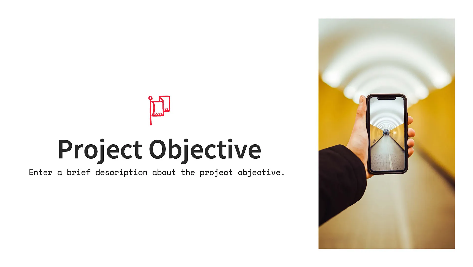 Project Objective